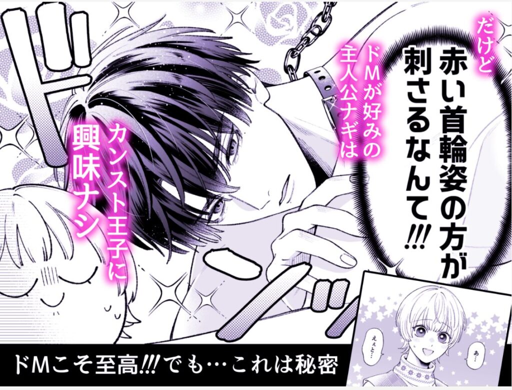 カンスト王子は冷酷姫を渇望する